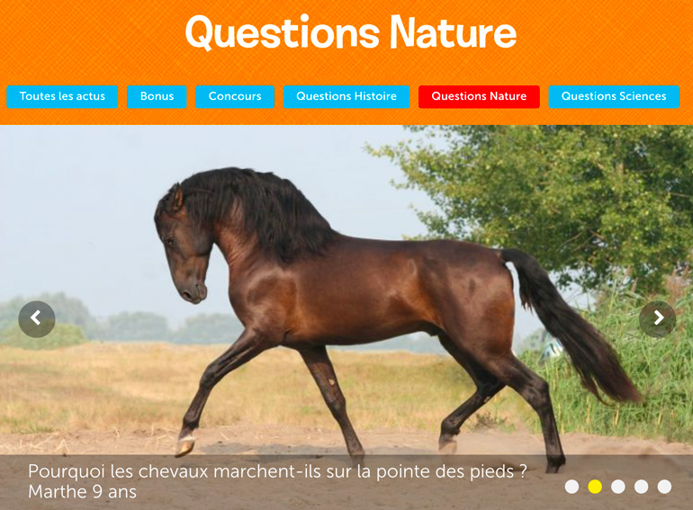 Réponses aux “Questions histoire”, “Questions sciences”, “Questions nature”... sur le blog Images Doc.