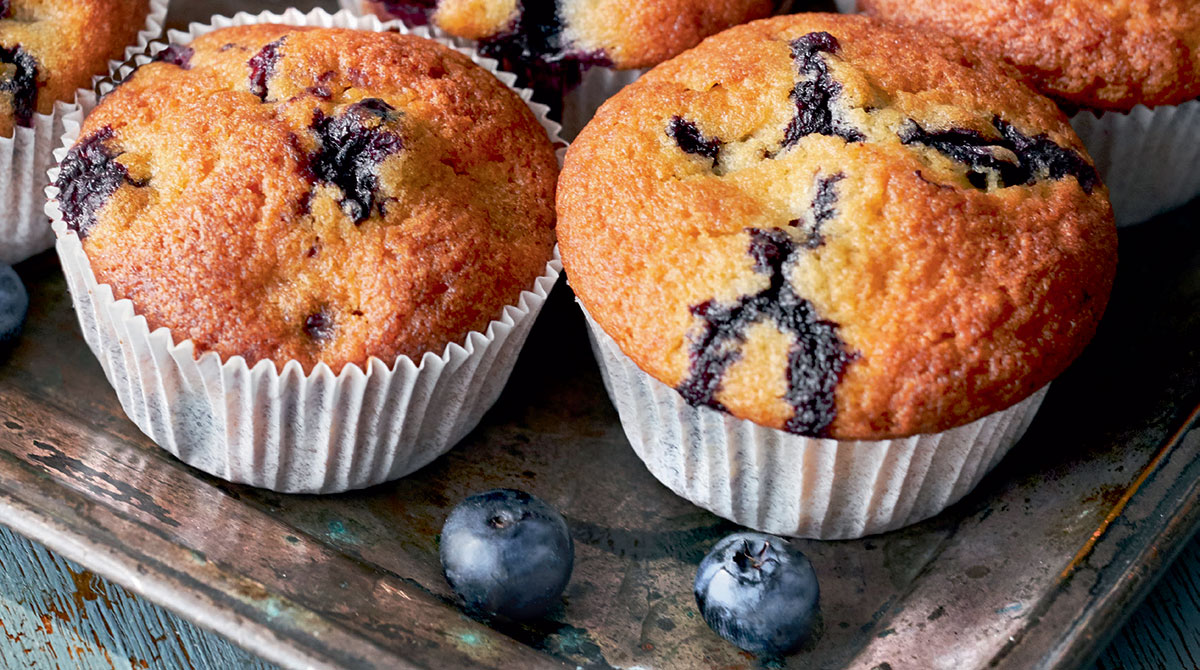 Blueberry muffins, I Love English for Kids! n°264, octobre 2024. © Photo : tilialucida/AdobeStock.