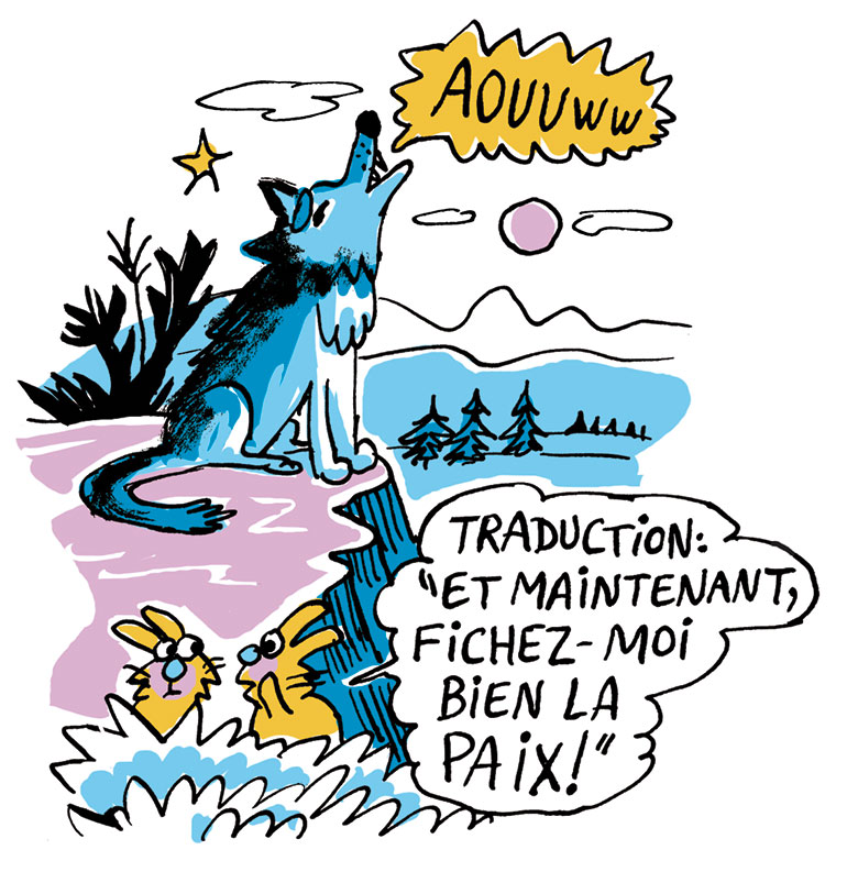 Classique sans prise de tête : L'appel de la forêt. Je bouquine n°489.