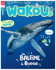 Wakou